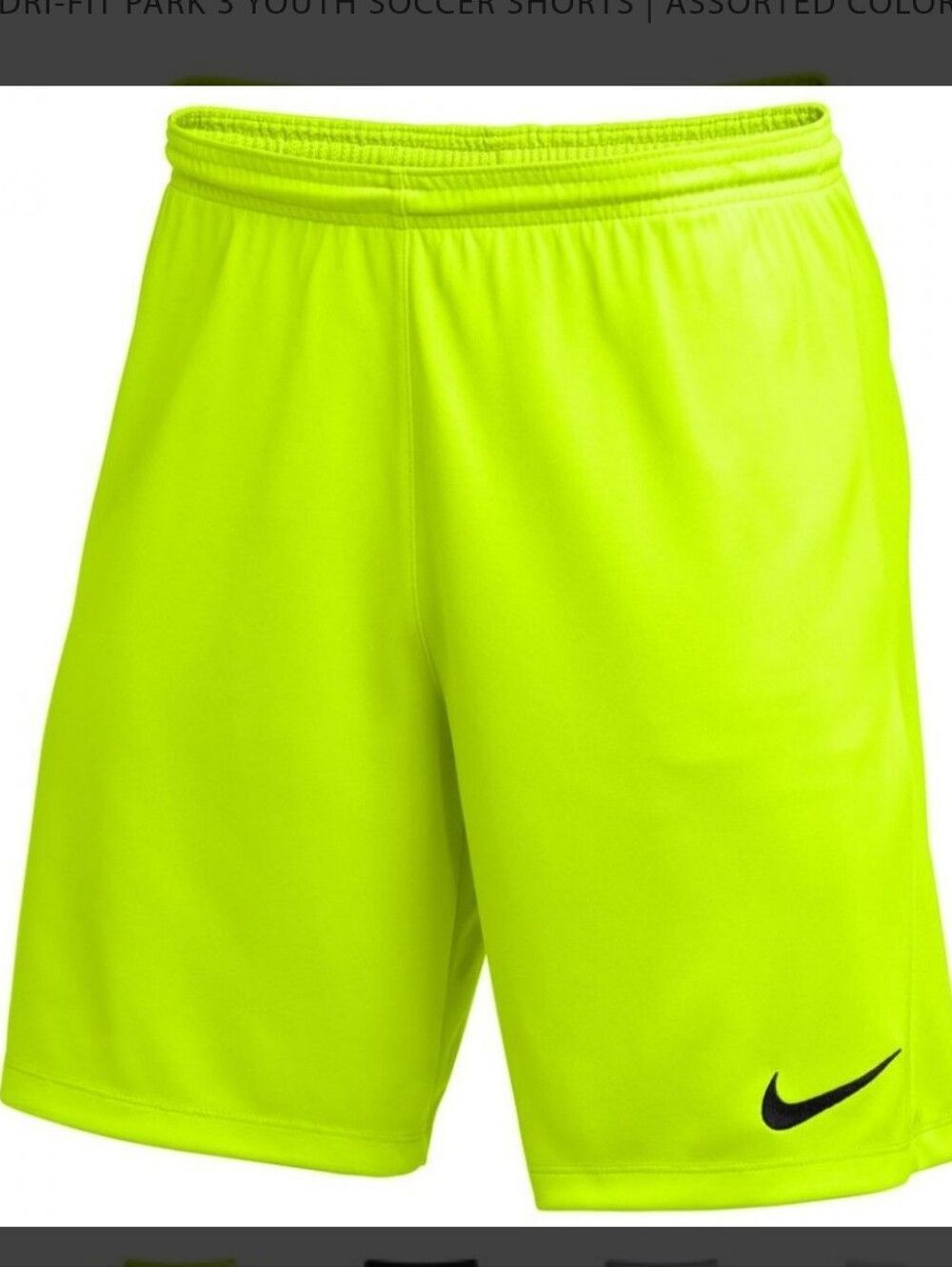 Nike Dri Fit Park III Short
